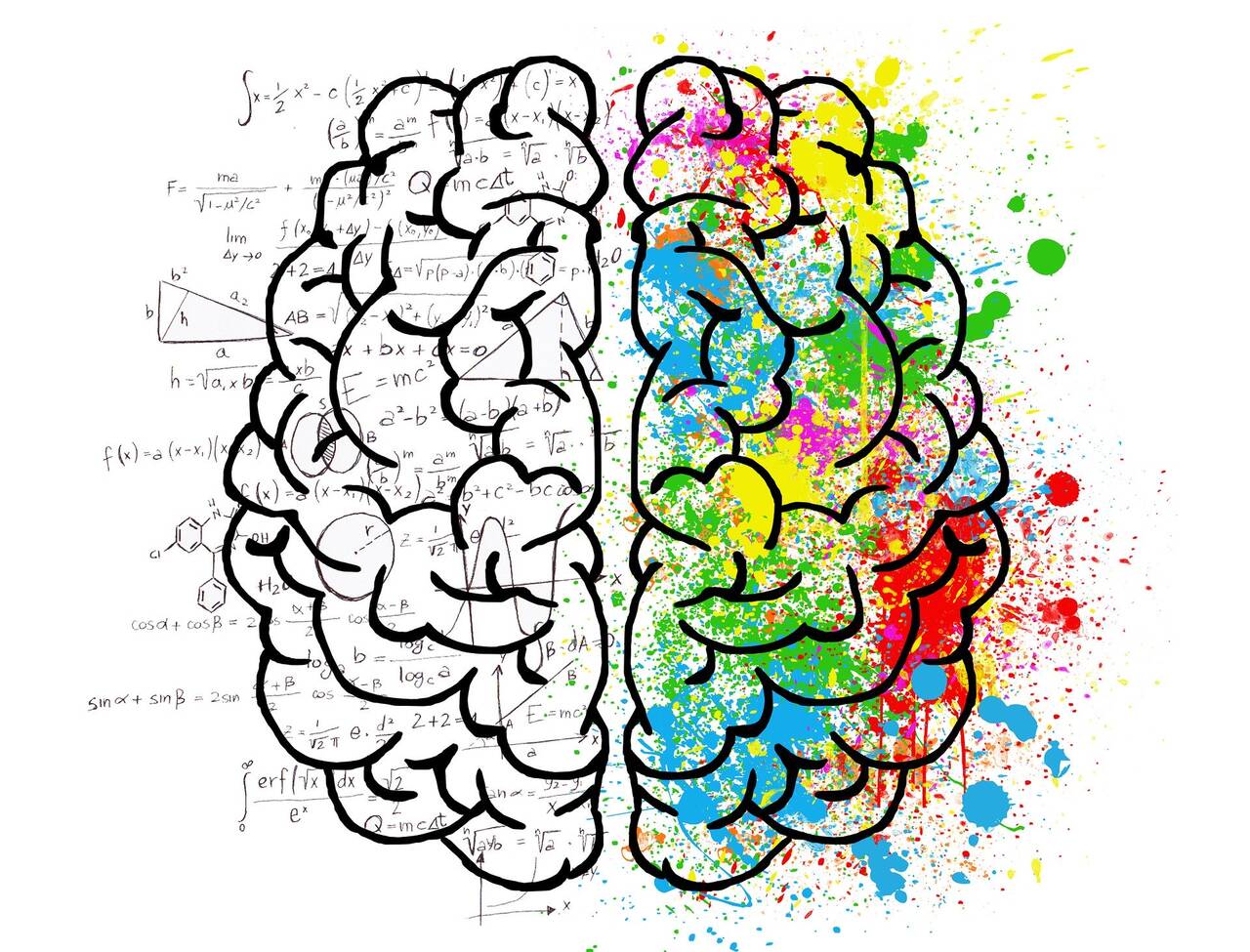 Grafika przedstawiająca mózg jako symbol naszej osobowości którą możemy sprawdzić testem PERSO.IN